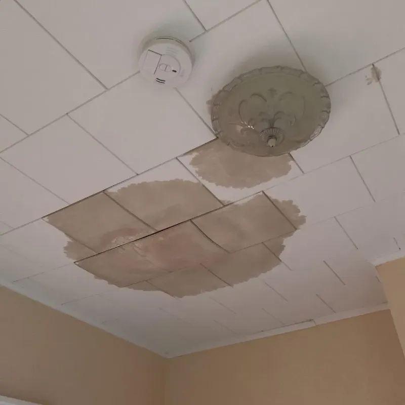 Ceiling Water Damage Repair in Lakeland, TN